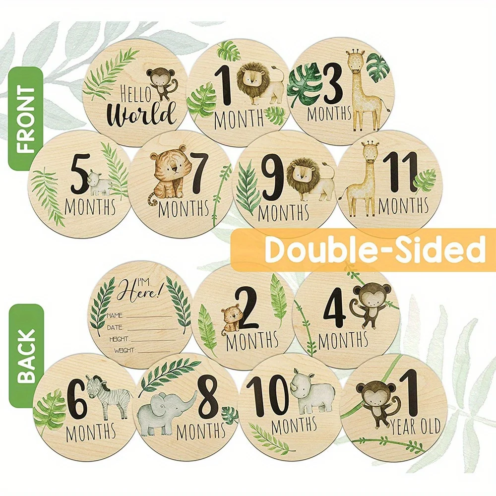 7 pezzi di oggetti di scena pe - Photography Cheat Sheet recensione e prezzo